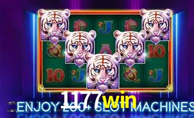 APP oficial da 1177win para mobile
